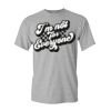 Adult t-shirt Heavy Cotton Thumbnail